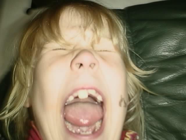 aut_2268.jpg