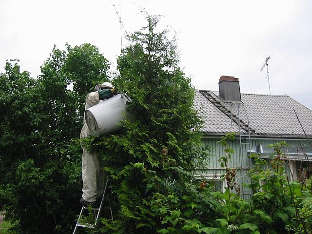 IMG_5645