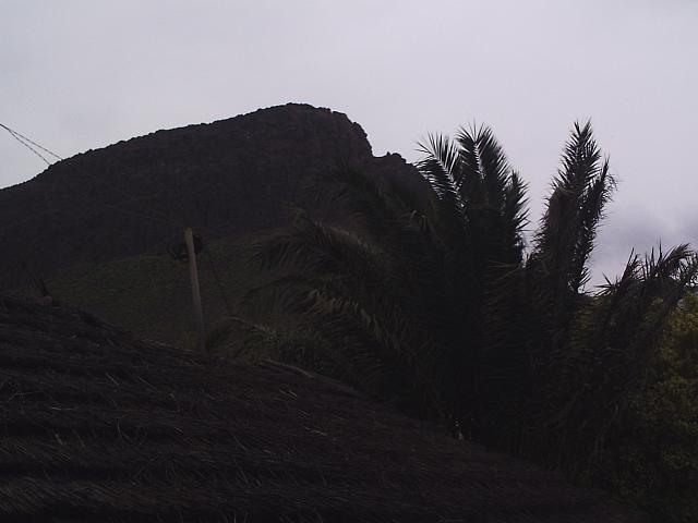phto0080.jpg