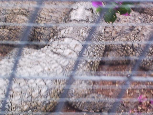 phto0095.jpg