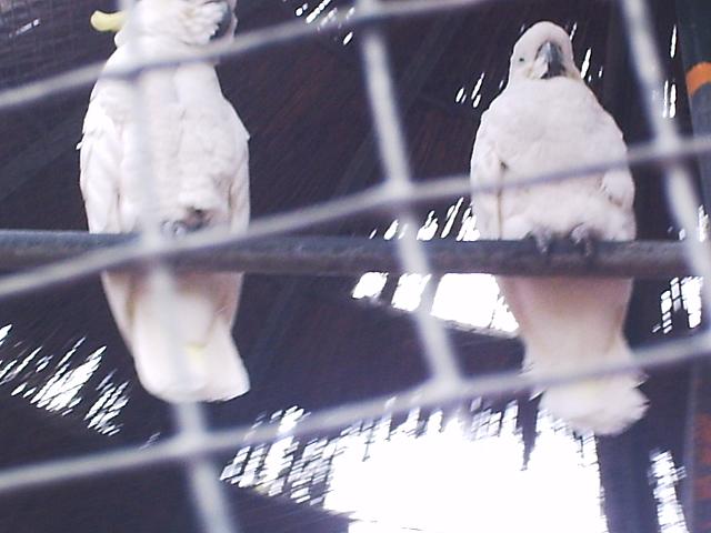 phto0103.jpg