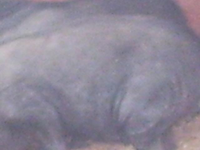 phto0113.jpg