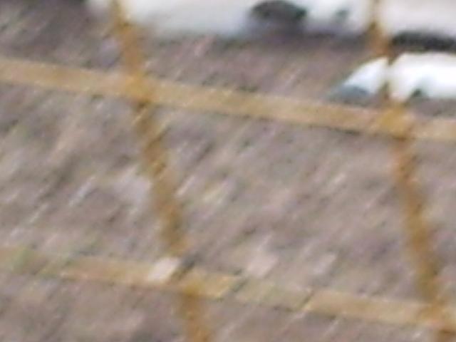 phto0114.jpg