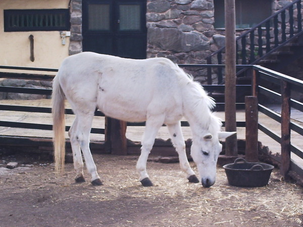 phto0095.jpg