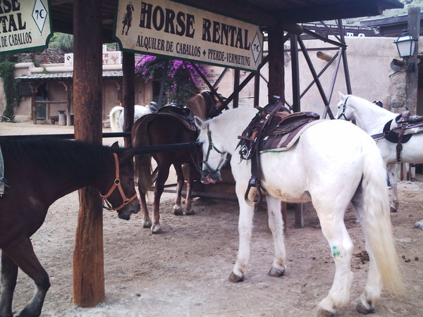 phto0111.jpg