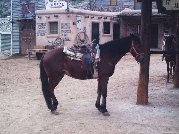 phto0140.jpg
