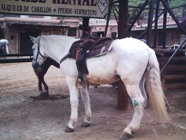 phto0141.jpg