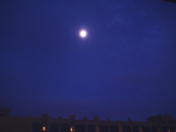 phto0184.jpg