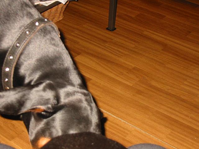 IMG_6172.JPG