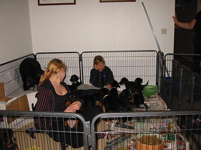 img_6150.jpg