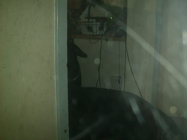 aut_2311.jpg