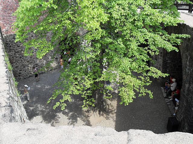 sdc10025.jpg