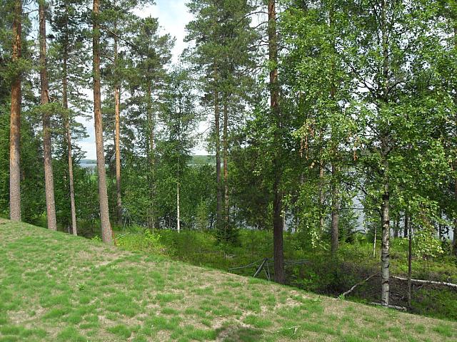 sdc10043.jpg