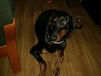 aut_2247.jpg