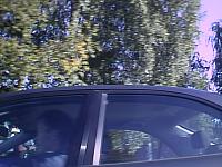aut_2280.jpg