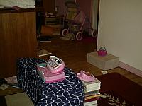 aut_2393