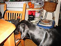 img_5897.jpg