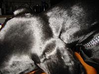 img_5901.jpg