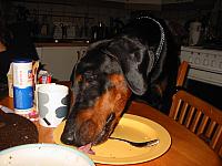 img_5905.jpg