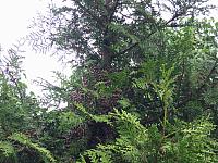 IMG_5634