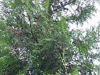 IMG_5638