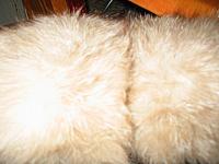 IMG_5474.JPG