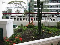 IMG_5489.JPG