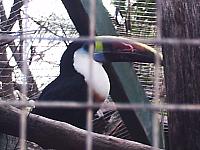 phto0078.jpg