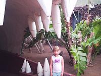 phto0081.jpg