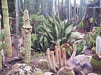 phto0085.jpg