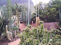 phto0086.jpg