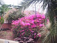phto0088.jpg