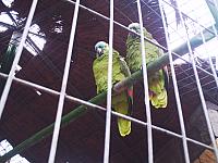 phto0101.jpg