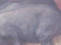 phto0113.jpg
