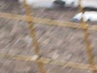 phto0114.jpg