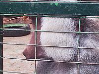phto0121.jpg