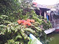 phto0139.jpg