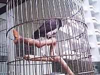 phto0147.jpg