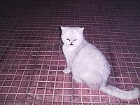 phto0011.jpg