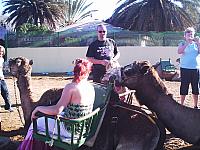 phto0041.jpg
