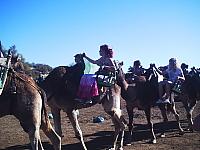 phto0047.jpg