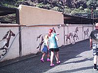 phto0090.jpg
