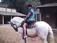 phto0113.jpg