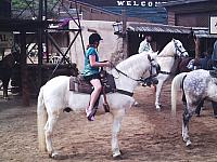 phto0114.jpg