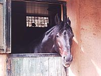 phto0117.jpg