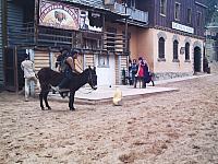 phto0137.jpg