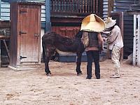 phto0139.jpg