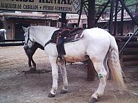 phto0141.jpg