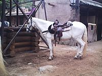 phto0142.jpg