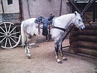 phto0146.jpg